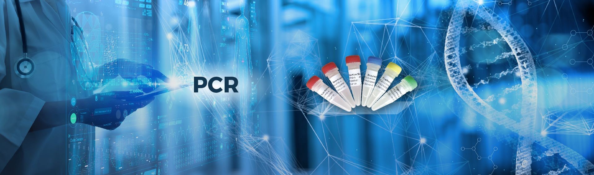 jakość Szybki test PCR Usługa